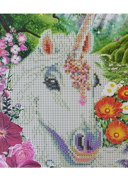 Boncuklu Taşlı Mozaik Elmas Goblen Pano Tablo Resim Puzzle Dıamond Paıntıng Ebat 21X25 Çocuklar Için