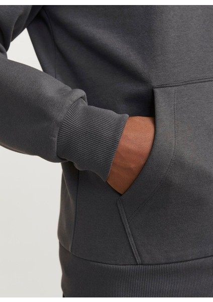 Kapüşon Yaka Mor Erkek Sweatshırt 12266908_JCOLIMA Logo Sweat Hood Bf fiyatları