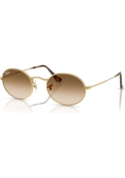 RB3547 001/51 51 Unisex Güneş Gözlüğü