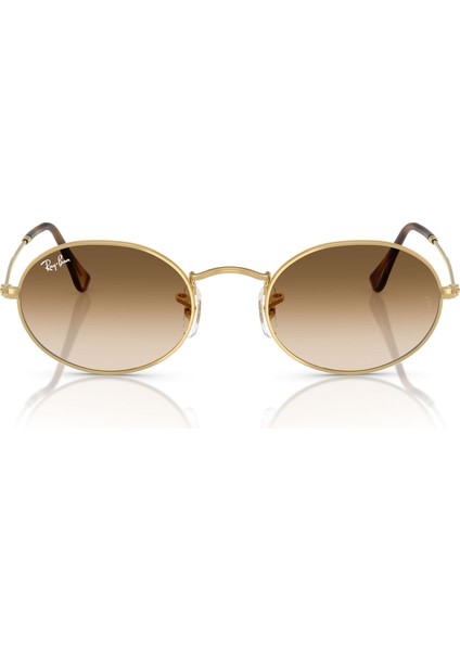 RB3547 001/51 51 Unisex Güneş Gözlüğü