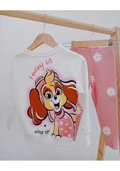 Paw Patrol Takım fiyatları