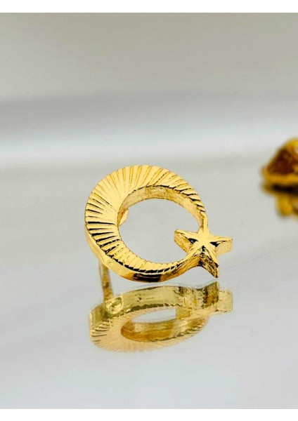 Ay Yıldız Gold Kaplama Yaka Rozeti fiyatları