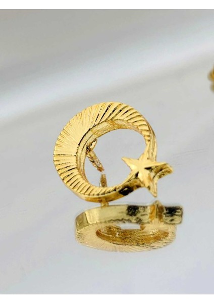 Ay Yıldız Gold Kaplama Yaka Rozeti modelleri