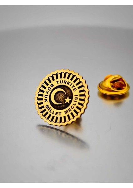 Türkiye Büyük Millet Meclisi Dekope Kesim Yaka Rozeti