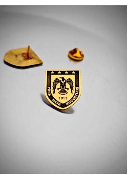 Türk Hava Kuvvetleri Yaka Rozeti