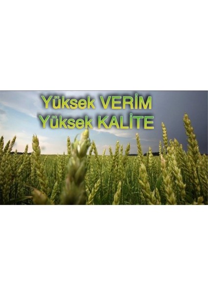 sol Katı Solucan Gübresi 20 kg