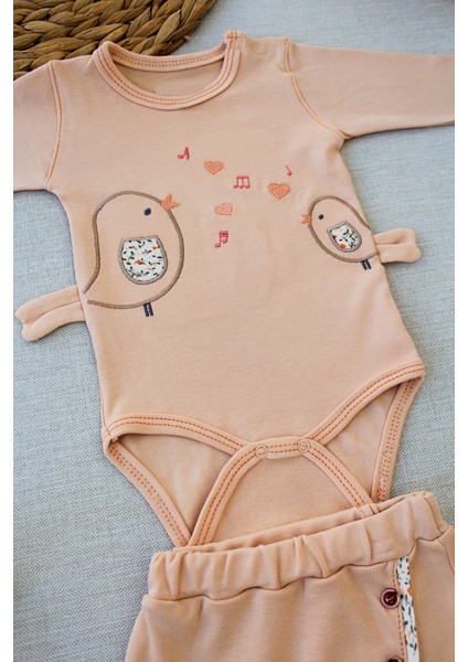 3-6 6-9 9-12 Ay Şarkıcı Kuşlar Nakışlı Bandanalı Uzun Kollu Zıbınlı 3lü Kız Bebek Takımı fiyatları