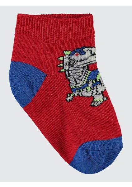 Erkek Çocuk 3'lü Çorap 2-12 Yaş Standart modelleri