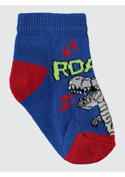 Erkek Çocuk 3'lü Çorap 2-12 Yaş Standart indirimleri