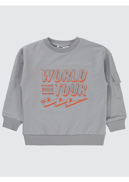 Erkek Çocuk Sweatshirt 2-5 Yaş Gri