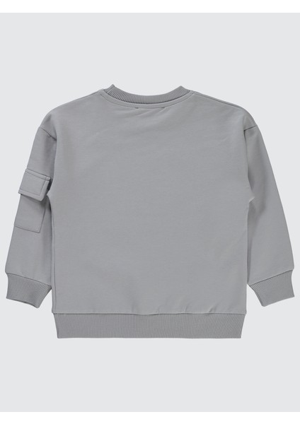 Erkek Çocuk Sweatshirt 2-5 Yaş Gri fiyatları