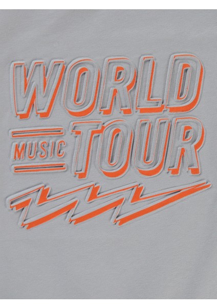 Erkek Çocuk Sweatshirt 2-5 Yaş Gri modelleri