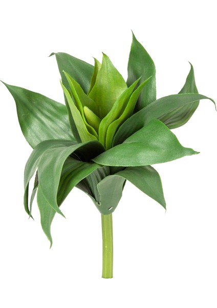 Yapay Kaktüs Sukulent Agave Yeşil 28 Cm.