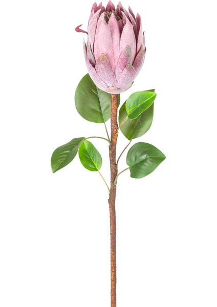 Yapay Protea Bitkisi Mor 67 Cm.