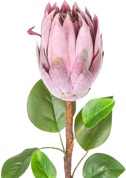 Yapay Protea Bitkisi Mor 67 Cm. fiyatları