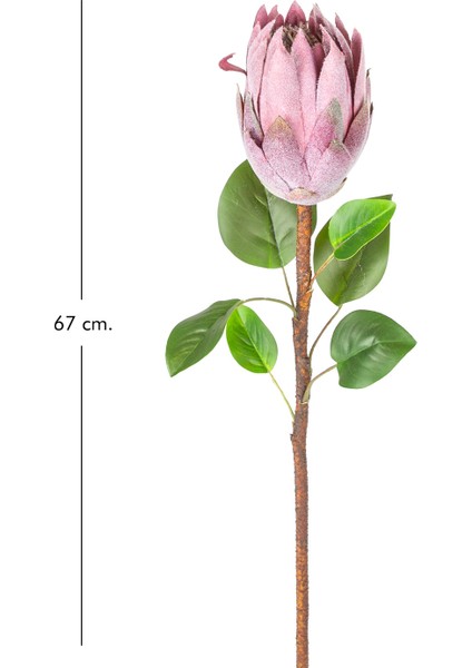 Yapay Protea Bitkisi Mor 67 Cm. modelleri