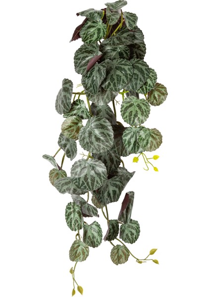 Yapay Bitki Salon Sarmaşığı Monstera Dubia Yeşil 65 Cm.