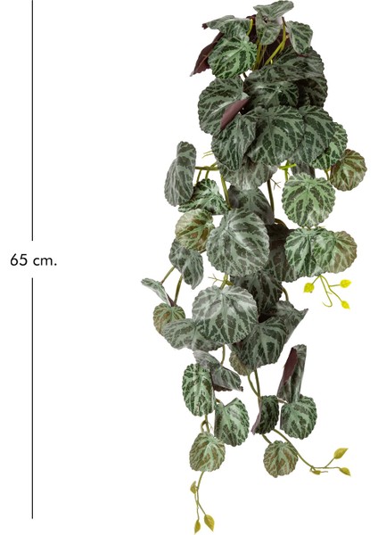 Yapay Bitki Salon Sarmaşığı Monstera Dubia Yeşil 65 Cm. modelleri
