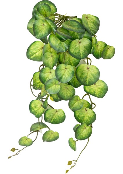 Yapay Bitki Salon Sarmaşığı Peperomia Yeşil 65 Cm.
