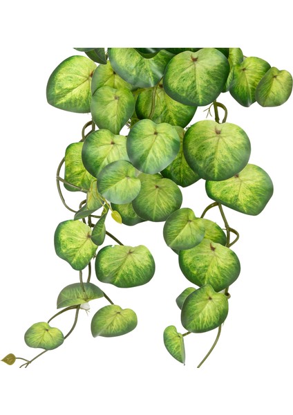 Yapay Bitki Salon Sarmaşığı Peperomia Yeşil 65 Cm. fiyatları