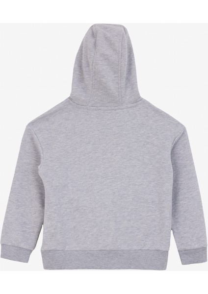 Baskılı Erkek Gri Melanj Sweatshırt J4WB-SWT7508 fiyatları