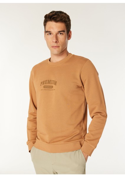 Bisiklet Yaka Kahve Erkek Sweatshırt Exc 12275176_JPRBLAHAF Sweat Crew