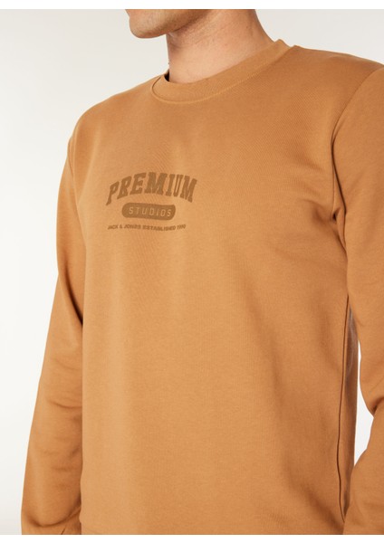 Bisiklet Yaka Kahve Erkek Sweatshırt Exc 12275176_JPRBLAHAF Sweat Crew