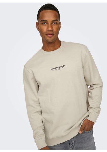 Düz Yaka Ekru Erkek Sweatshırt Onscurated Reg Crew Neck Sweat