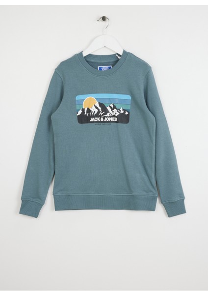 Baskılı Erkek Çocuk Mavi Sweatshırt 12267135