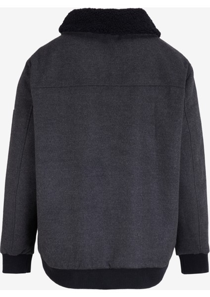 Antrasit Erkek Mont 251 Lcm 232023 Bert Antrasit fiyatları