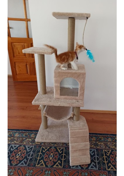 Kedi Evi ve Kedi Tırmalama %100 Müşteri Memnuniyeti