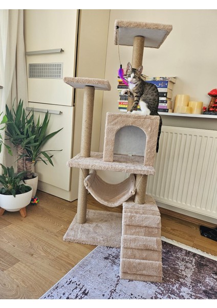 Kedi Evi ve Kedi Tırmalama %100 Müşteri Memnuniyeti