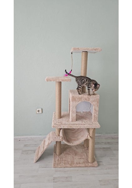 Kedi Evi ve Kedi Tırmalama %100 Müşteri Memnuniyeti
