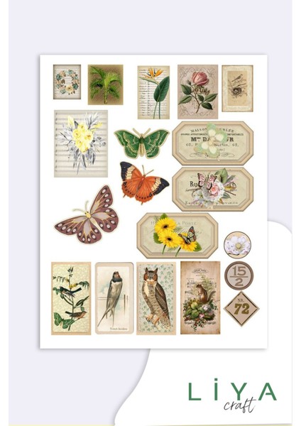 Vintage Sticker Planner Ajanda Bullet Journal Için Uygun Set