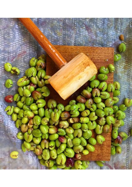 Çapa Baharat Yeşil Zeytin El Kırması Çekirdekli 5 lt modelleri