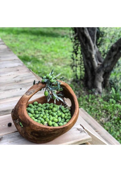 Çapa Baharat Yeşil Zeytin El Kırması Çekirdekli 5 lt fırsatları