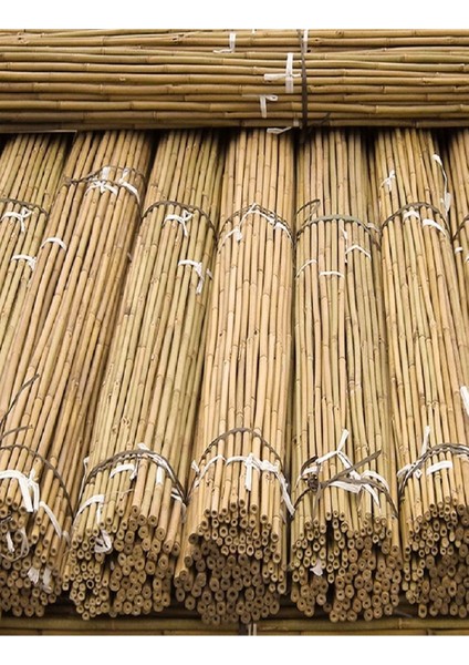 40 Adet Bambu Bitki Fidan Destek Çubuğu 1,5 Metre fırsatları