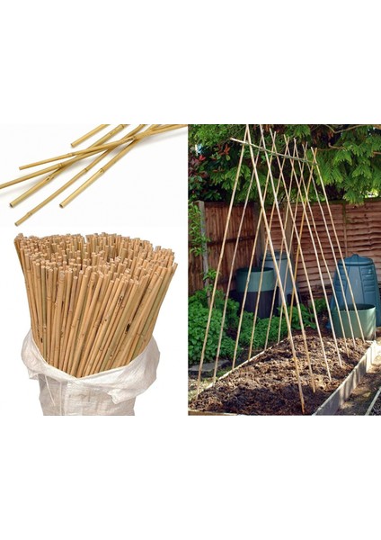10 Adet Bambu Bitki Fidan Destek Çubuğu 1,5 Metre