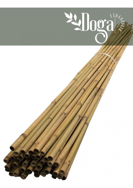 10 Adet Bambu Bitki Fidan Destek Çubuğu 1,5 Metre