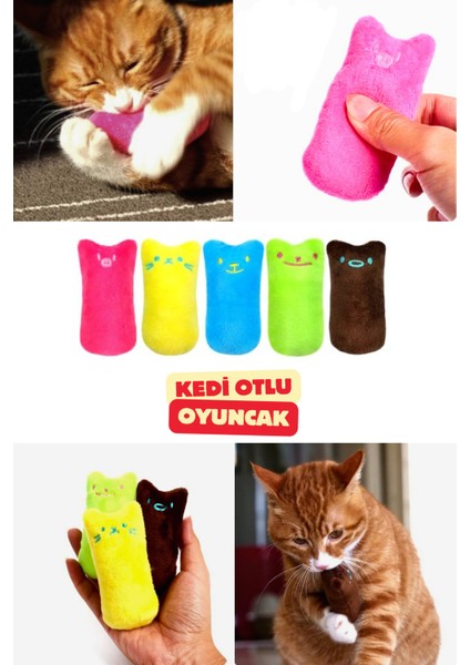 Kedi Otu Dolu Renkli Peluş Oyuncak Desenli Oyun Oynama Sarılma Oyuncağı 9,5 cm x 4 cm