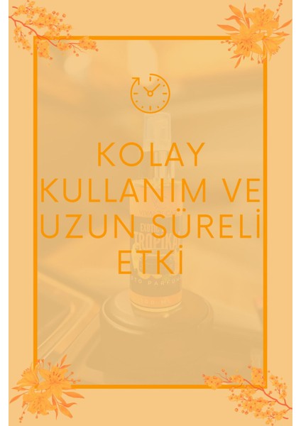 Exotic Tropikal Araba Kokusu Sprey 100 ml