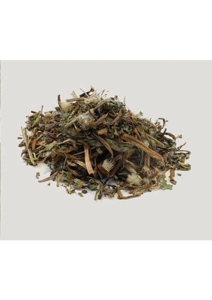 Karahindiba Kurutulmuş Bitki Taraxacum Officinale 1 kg