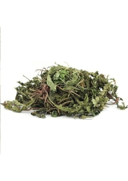 Karahindiba Kurutulmuş Bitki Taraxacum Officinale 1 kg