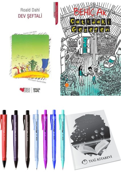 Çatıdaki Gezegen - Dev Şeftali 2'li Set