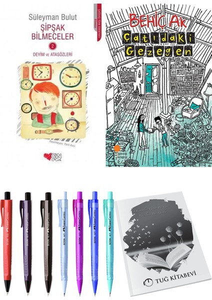Çatıdaki Gezegen ve Şipşak Bilmeceler 2 2li Set