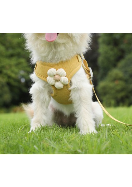 Pet Köpek ve Kedi Yelek Tasma Yaka ile Dışarı Çıkmak (Yurt Dışından)