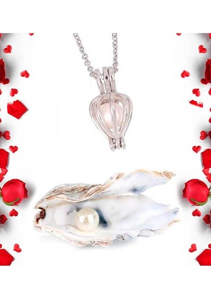 Özel Kutusunda 9 Adet Yapay Gül ve İstiridye İçinde İnci Kolye Seti Hediyelik 001 modelleri