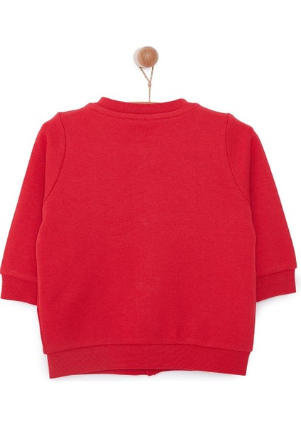 HelloBaby Basic Ribanalı Hırka Kız Bebek
