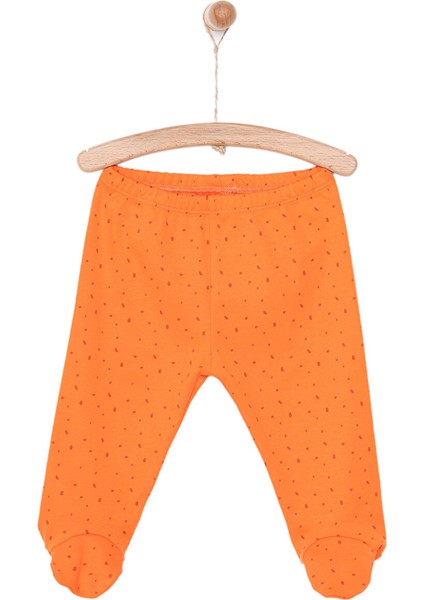 Little Life Yenidoğan Arkası Nakışlı Patikli Alt Erkek Bebek