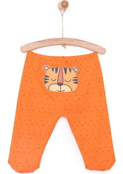 Little Life Yenidoğan Arkası Nakışlı Patikli Alt Erkek Bebek fiyatları